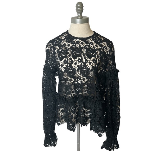 H&M Black Embroidered Lace Ruffle Long Balloon Sleeve Sheer Blouse Women Size 6 - Picture 3 of 16